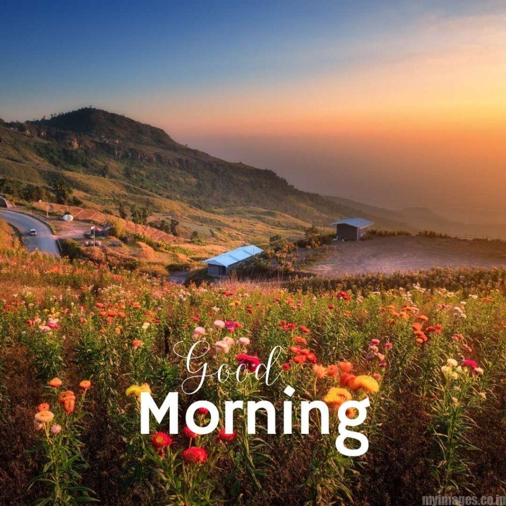 A Gorgeious Morning Show on the Mountain with the Small Road and Two tiny Houses near the Farm with Yellow and Red Flowers